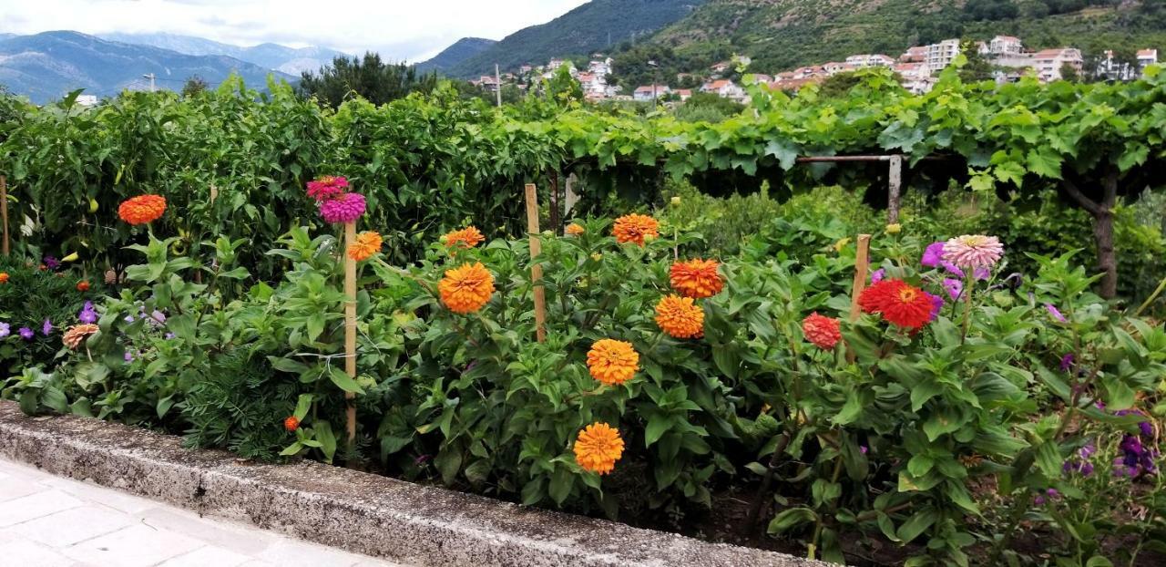 Petivat Gardens Apartment ภายนอก รูปภาพ